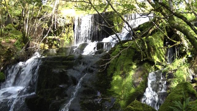 Transfiguration 2011 big waterfall